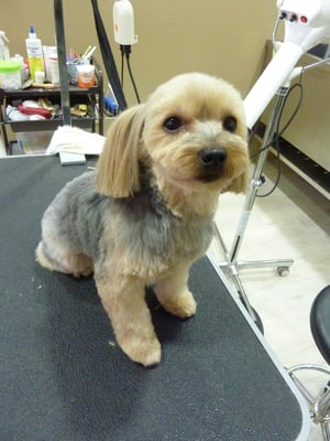 テンテンちゃん♡