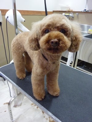 こころちゃん❤