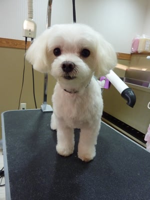 元気ちゃん❤海人ちゃん、琉希ちゃんといつもありがとう❤