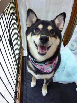 しおんちゃん❤今日も笑顔で♪