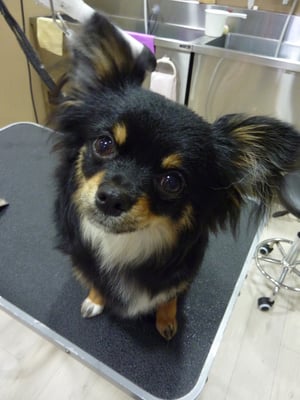 クロちゃん❤もう新しいお家に慣れたかな?