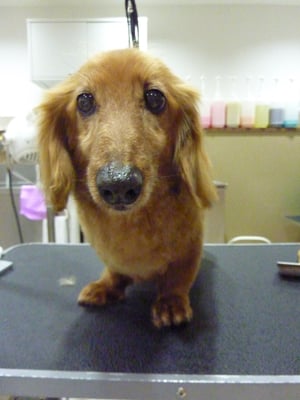 ジョンちゃん♪