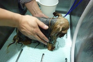 あぷりちゃん泥パック☆