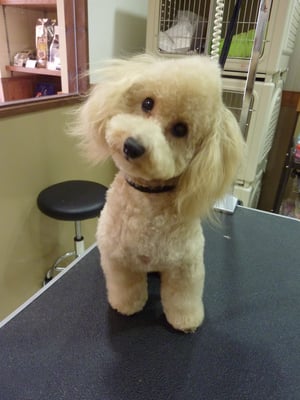 風太ちゃん❤いつもお顔が同じ角度笑