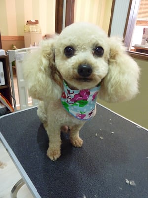 マックスちゃん❤