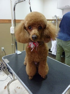 アンコちゃん❤