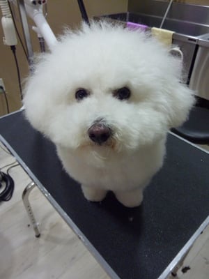 チロルちゃん❤