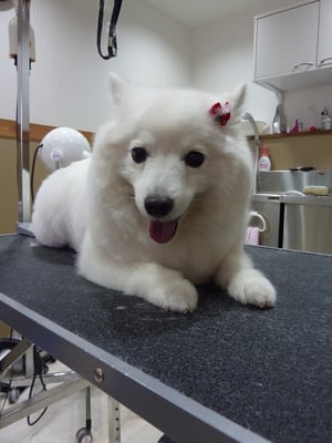 さくらちゃん❤