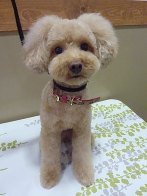 はづきちゃん❤お誕生日記念にパシャリ☆