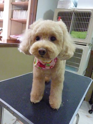 はづきちゃん❤