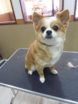 琳ちゃん❤今日もハサミですっきり☆