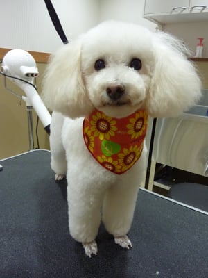 幸ちゃん❤お顔伸びてきたね~☆