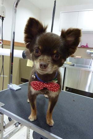 太郎ちゃん❤とっても元気な男の子❤