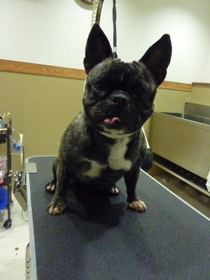 こはるちゃん♡