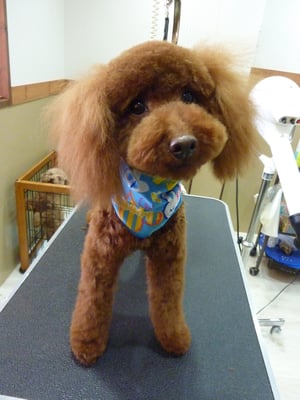 スウェルちゃん❤