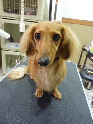 れなちゃん❤おやつには目がないの❤