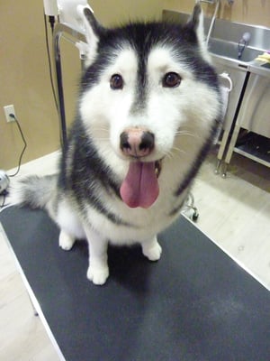 アンナちゃん❤