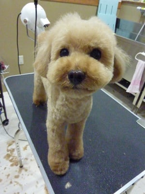 クッキーちゃん❤