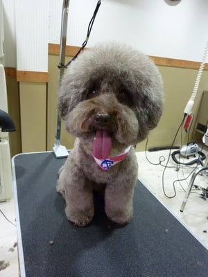 ポルンちゃん❤