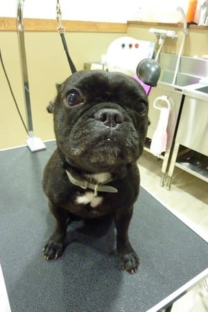 みかんちゃん❤今日は落ち着いて写真撮れたね❤