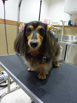 のんちゃん❤リボンがとっても似合うね❤