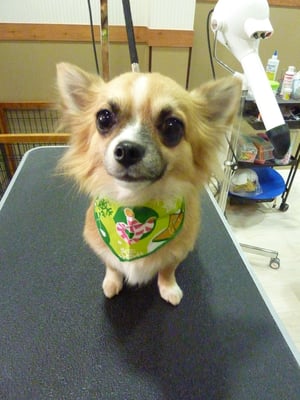 晴ちゃん❤晴ちゃんもお利口さんでした~☆