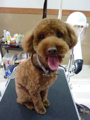 くうたろうちゃん♡