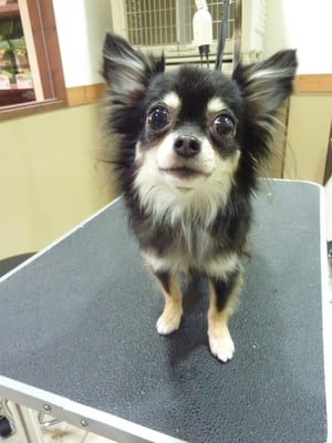 イチゴちゃん❤