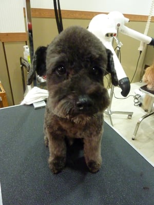 福°助ちゃん❤