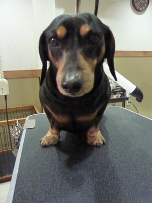 トーヤちゃん❤