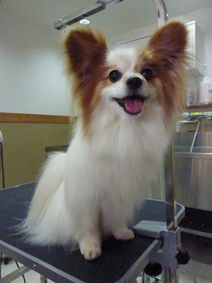 ハッピーちゃん❤