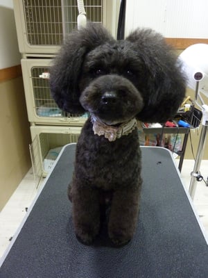 ミントちゃん❤