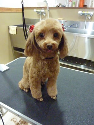 ここあちゃん❤