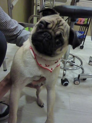 まる子ちゃん❤