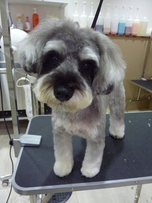 はなちゃん❤眉毛を作ってちょっとイメチェン！？