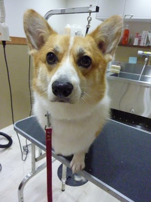 ロビンちゃん❤今日も元気いっぱい!!