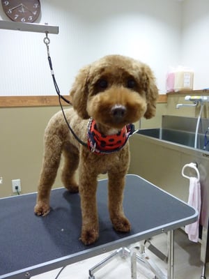 ムッシュちゃん❤足まで細くしてスッキリ☆