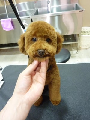 ダフィーちゃん❤