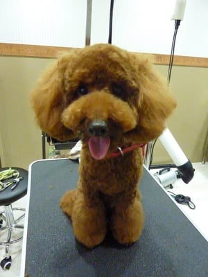 コロンちゃん❤