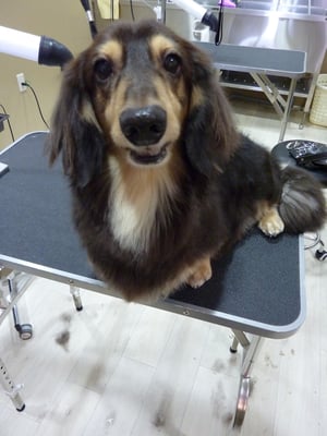 チョコちゃん❤前歯を見せてニカッ☆