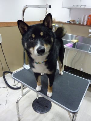 らん丸ちゃん❤