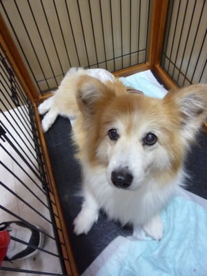 ミントちゃん❤今日も頑張ってくれてありがとうね~♪