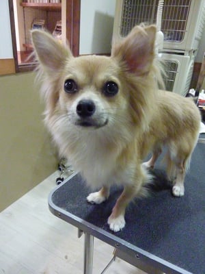 佑ちゃん❤背中の毛がツルツル☆