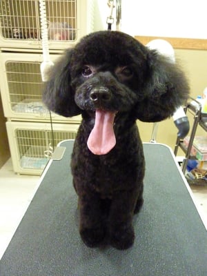 ひめちゃん❤興奮して舌が出ちゃいます^_^;