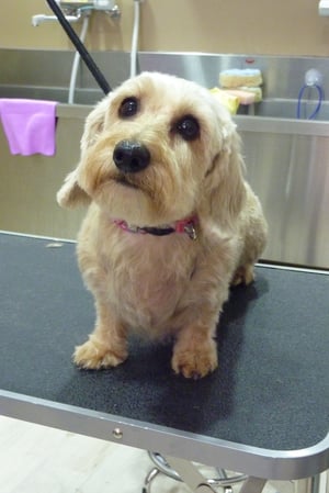 さくらちゃん❤