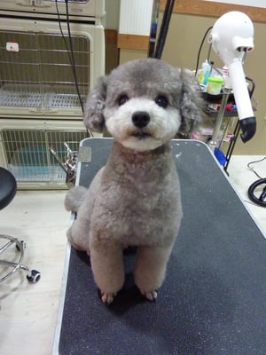 空ちゃん❤今度ママと旅行行くんだ♪