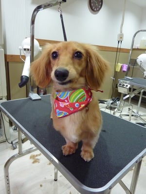 さくらちゃん❤