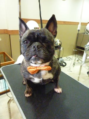 こはるちゃん❤