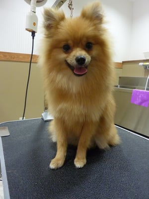 雷太ちゃん❤ちょっと大きくなったかな？