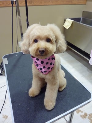 はづきちゃん❤